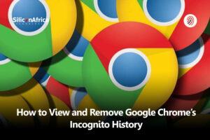 How to View and Remove Google Chrome Incognito History