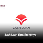 Zash Loan Limit in Kenya