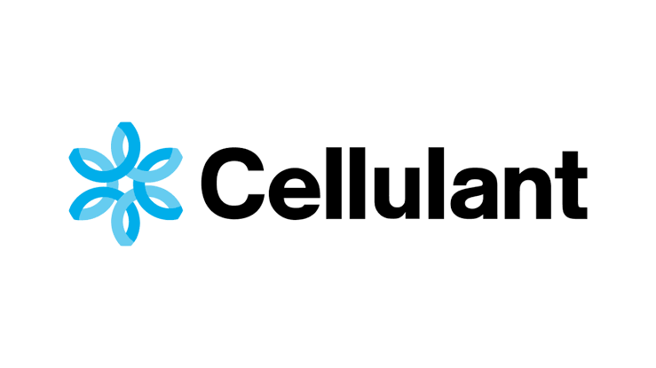 Cellulant Exits Nigerian Mobile Money Sector