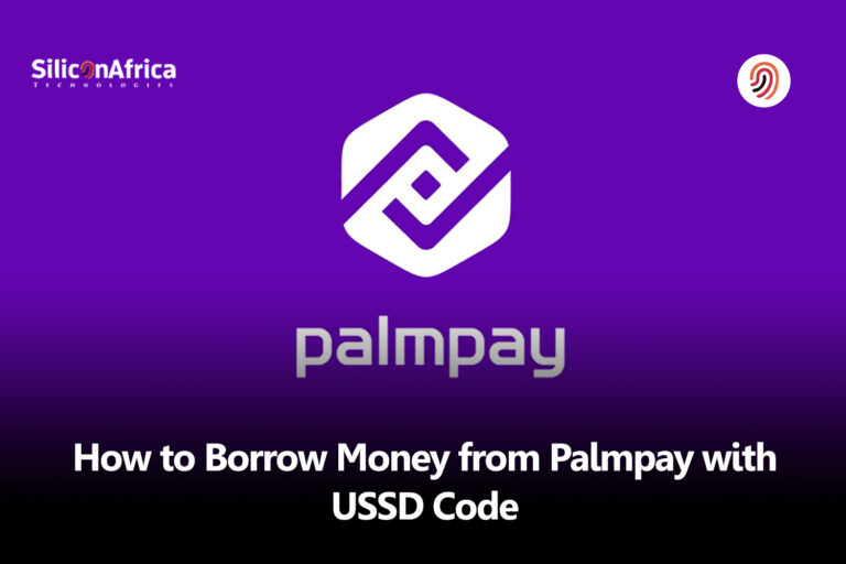 How to Secure a PalmPay Loan Easily With PalmPay USSD Code