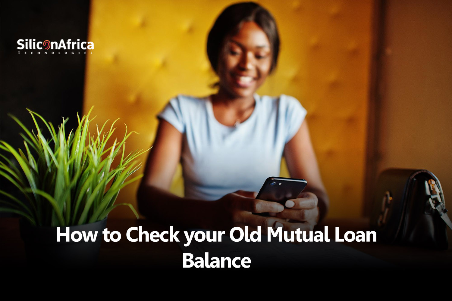 Old Mutual Loan Balance Check