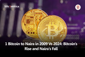 1 Bitcoin to Naira in 2009 vs 2024: Bitcoin’s Rise and Naira’s Fall
