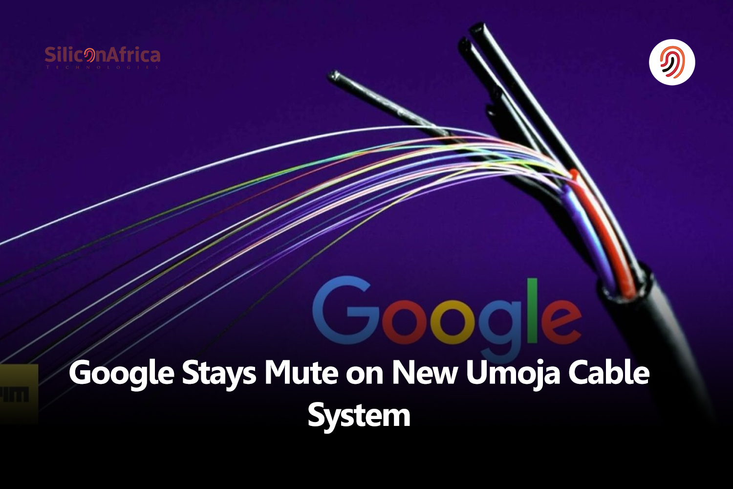 Google Umoja Cable