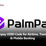 PalmPay USSD Code for Airtime, Transfer, & Mobile Banking