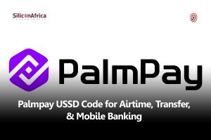 PalmPay USSD Code for Airtime, Transfer, & Mobile Banking