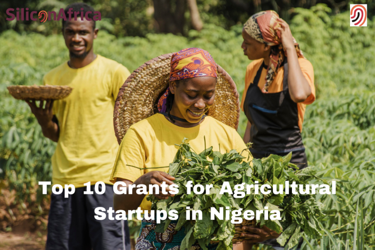 Top 10 Grants for Agricultural Startups in Nigeria (1)