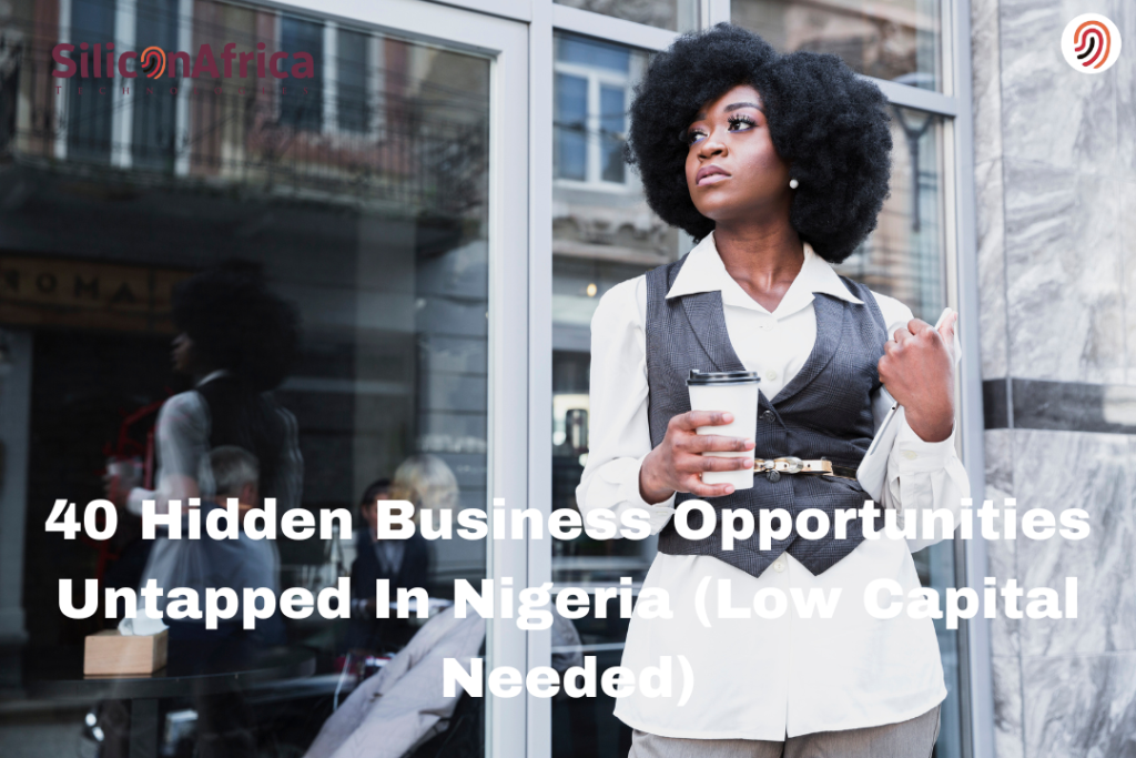 40 Hidden Business Opportunities Untapped In Nigeria (Low Capital Needed)