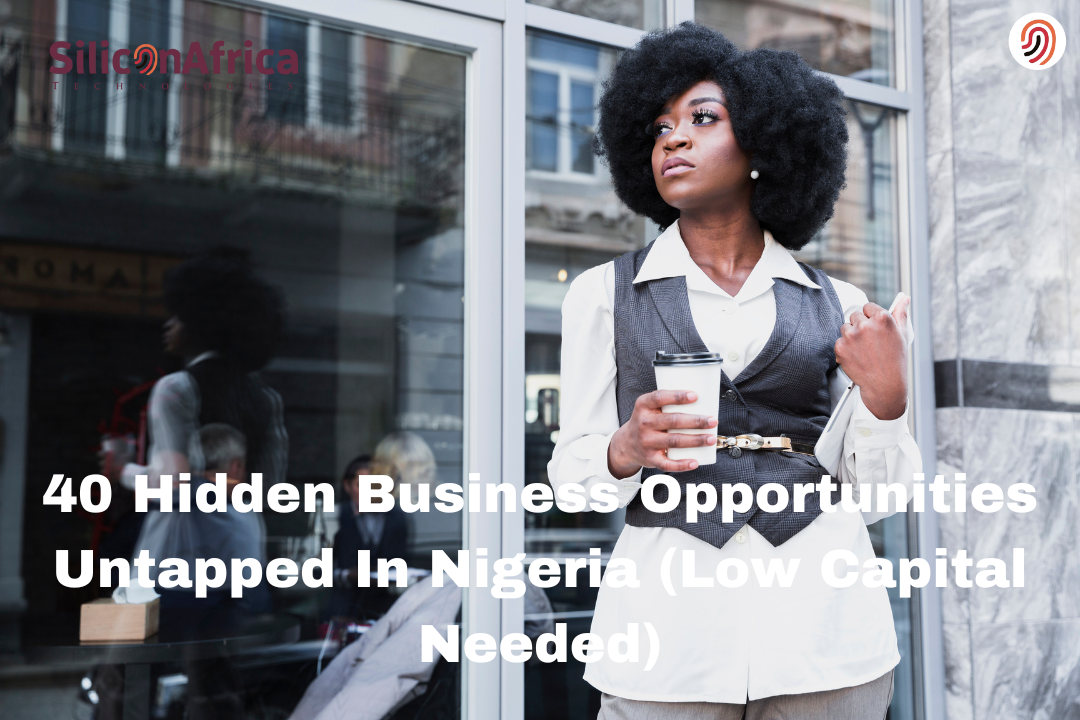 Hidden Business Opportunities in Nigeria