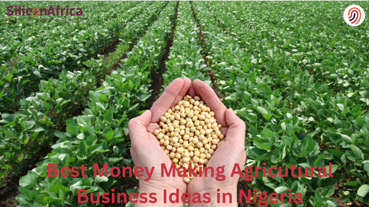 Money making agriculture business ideas