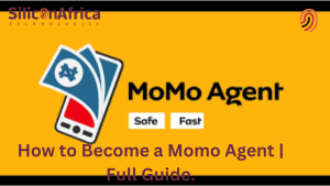 momo agent Code