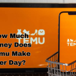 How Much Money Does Temu Make Per Day