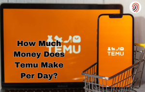 How Much Money Does Temu Make Per Day