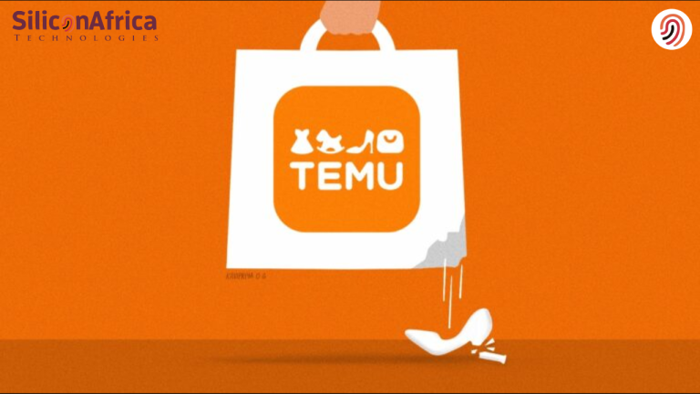 Temu market value