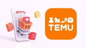 What is Temu Meaning in Chinese