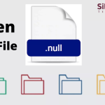 How to Open Null File