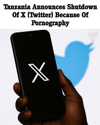 Tanzanian government shut down X due to pornographic content 