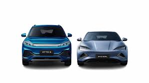 BYD South Africa Reviews