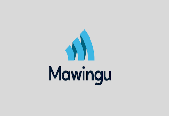 PE fund plans to acquire 35% stake in Mawingu Networks
