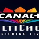 MultiChoice is looking for new investors to change Canal+ takeover offer