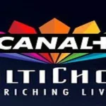 Canal+ Will Sell MultiChoice's Local Content to Global Audiences