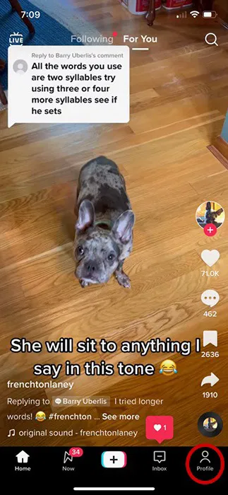 How to Check TikTok Watch History