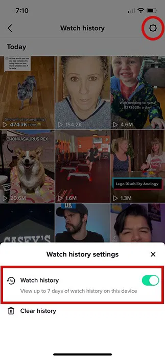 How to Check TikTok Watch History