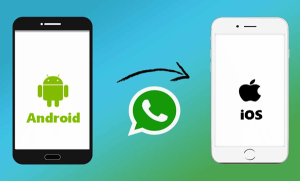 How to Transfer Your WhatsApp Chats From Android to iOS