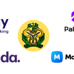 CBN approves full national licences for Opay and other fintechs