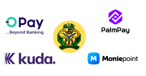 CBN approves full national licences for Opay and other fintechs