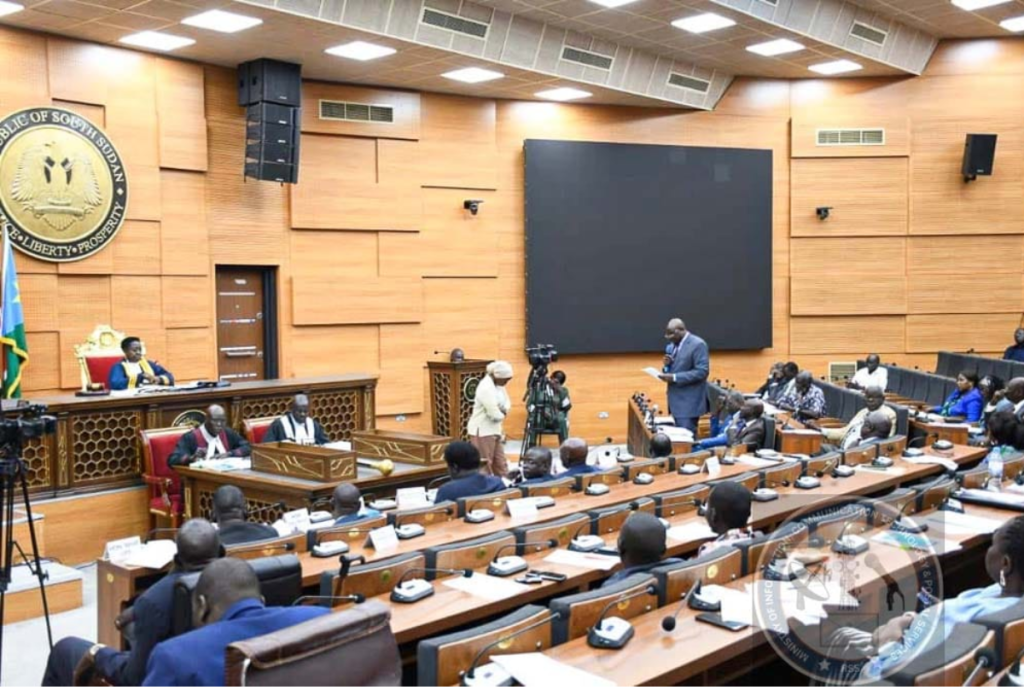 South Sudan's New Cyber Crime Act is Now Active