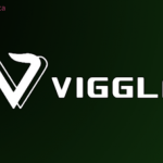 What Is Viggle AI
